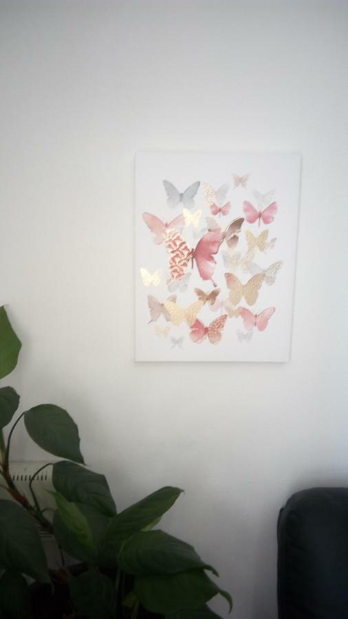 Apartment Butterfly Split - For Rest And Relaxation المظهر الخارجي الصورة